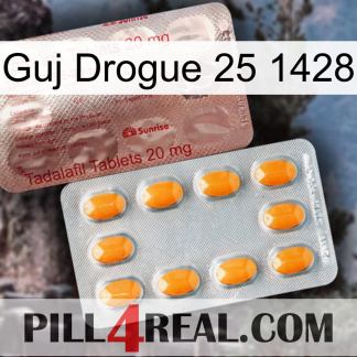 Guj Drug 25 1428 new13